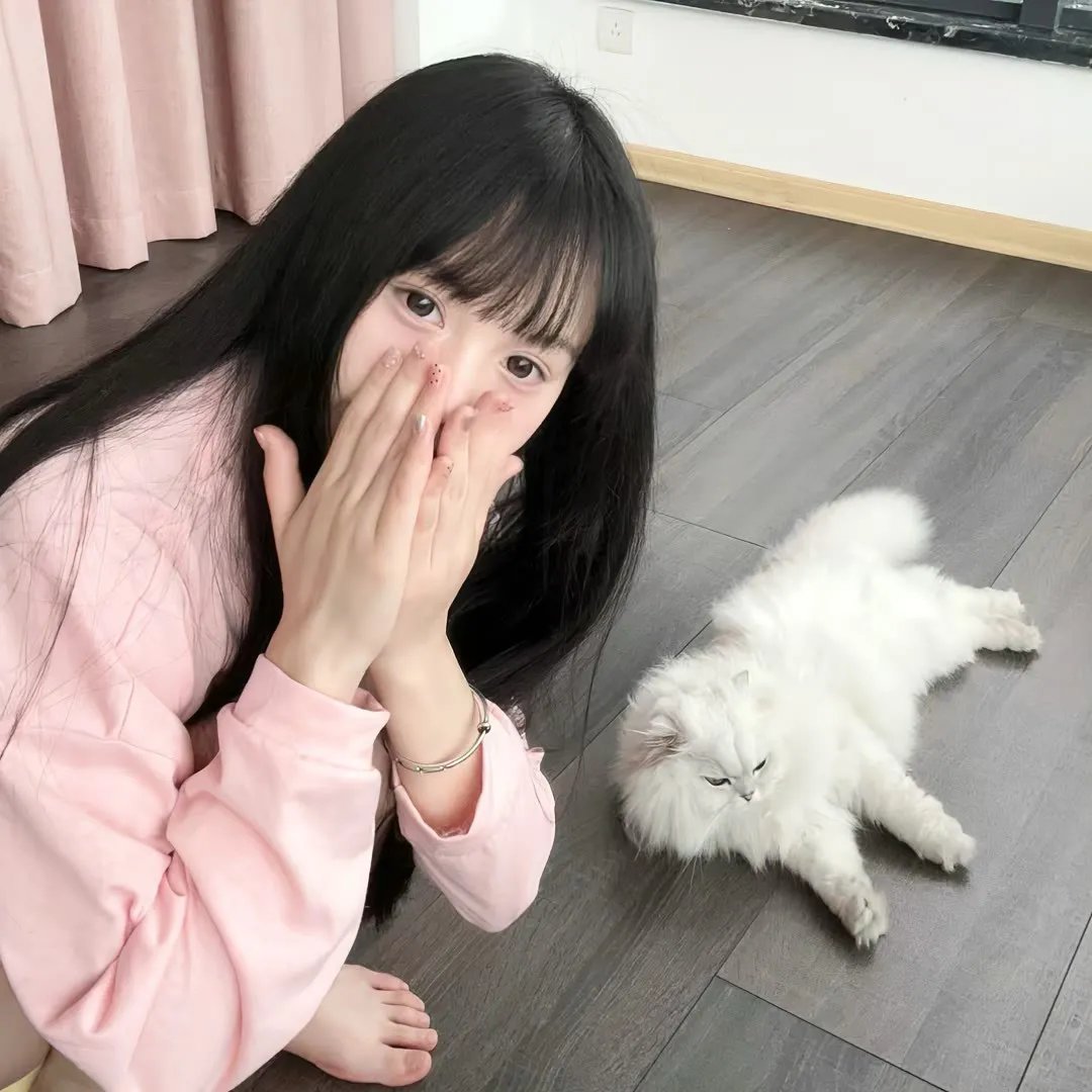 晚上好，我们是朝山家。